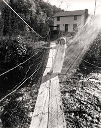 Image result for Dove Gray 1983 Hussmann