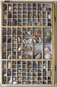A shadow box with frame makes for a nice way to display your rock collection on a wall. Setzkasten Rock Collection Display Rock Display Displaying Collections