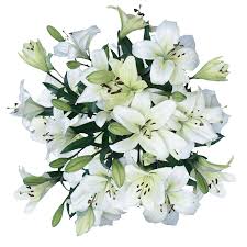 They bring such life to your home. White Lilies Asiatic Lily Flowers Cheap Real Flowers Globalrose