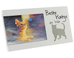 Bilderrahmen Beste Katze Online Bei Poco Kaufen