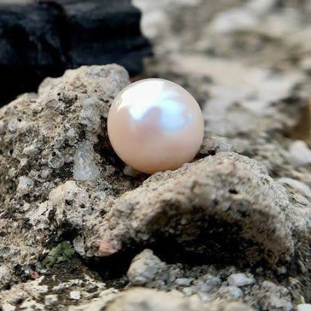 South Sea Pearl Delhi