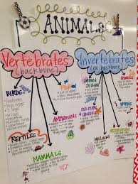 Animal Classification Science Worksheets Elementary Science Science Topics
