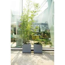 Bac A Fleurs Cube Millennium Beton Bac A Fleurs Poterie Fontaine Bassin Decoration Jardin Exterieur A la une on m'offre la lune a la deux je la coupe en deux a la trois je la donne aux oies a la quatre on veut me combattre a la cinq je rencontre un prince a la six j'aime une écrevisse a la sept je deviens trompette a la huit on me déshérite a la neuf j'ai des. bac a fleurs cube millennium beton