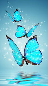 Kumpulan gambar tentang kupu kupu cantik gif, klik untuk melihat koleksi gambar lain di kibrispdr.org. Wallpaper Android Kupu Kupu Berwarna Biru Berkilau Blue Butterfly Wallpaper Butterfly Background Butterfly Wallpaper