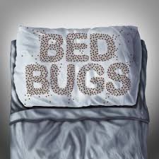 If you notice pests after we treat your home, there will be no additional cost for. Bed Bug Control Uniontown Pa Vermin Control