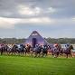 Melbourne Cup Day at the Geraldton Turf Club event image