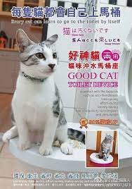 不需要貓砂 不需要貓砂鏟 輕鬆與愛貓生活健康幸福 cool cats cats animals