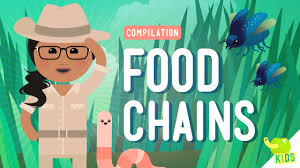 Food Chains Compilation Crash Course Kids Food Chain Food Web Activities 4th Grade Science