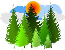 Spruce Forest Conifer - Free vector graphic on Pixabay