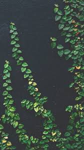 12 botanical iphone xs max wallpapers preppy wallpapers 12 botanical iphone xs max wallpapers