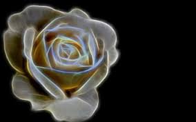 Download and use 30,000+ desktop wallpaper aesthetic stock photos for free. 80 Black Rose Hd Wallpapers Background Images