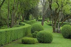 Epingle Par Lyne Sur Jardin En Forme Avec Images Jardin Classique Amenagement Jardin Parc Et Jardin