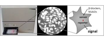 When you're taking a polygraph test, the machine first registers the baseline of your vital signs. Two Novel Real Time Cell Based Assays Quantify Beta Blocker And Nsaid Specific Effects In Effluents Of Municipal Wastewater Treatment Plants Sciencedirect