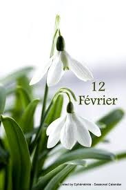 Ephéméride - Seasonal Calendar - 12 Février | Facebook