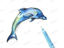 Дельфины нарисовать