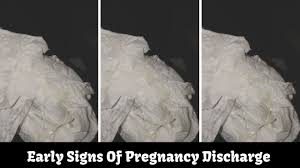 However, she may keep seeing this discharge throughout a pregnancy progress since there are. You About Some Very Early Signs Of Pregnancy Discharge Youtube