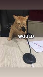 images?q=tbn:ANd9GcQMWOz8eQZ-gcUFDN1PI9Y