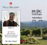 Music at the Vineyard – Joe Izen