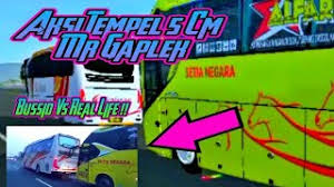 Mr gaplex al farruq in action. Sharcut Tm