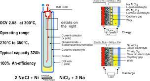Advances In Zebra Batteries Sciencedirect