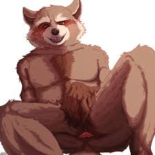 Rocket Raccoon :: Guardians of the Galaxy :: Marvel :: fandoms  funny  cocks & best free porn: r34, futanari, shemale, hentai, femdom and fandom  porn