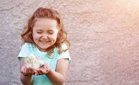 Tại sao con người lại có má lúm đồng tiền - Cổng thông tin Khoa học và Công  nghệ