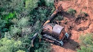 images?q=tbn:ANd9GcQMWUTIMzDmEq07RWGY6XyjYtCpGU9O3UvJzQ&s