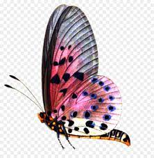 Butterfly Cartoon Png Download 1024 1044 Free Transparent Butterfly Png Download Cleanpng Kisspng 30,653 transparent png illustrations and cipart matching butterfly. butterfly cartoon png download 1024
