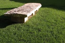 I want to put in a patio. Steps To Thicker Turf Neil Sperry S Gardens