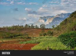 Vinales has some nice mountains, but the area itself is so grossly developed to cater to tourists as to be disgusting. Vinales Valley Cuba Image Photo Free Trial Bigstock