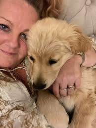 Beautiful 'Bowie' has gone back to his family, they had a great holiday and  we all have absolutely LOVED having him for a stay 🥰 Blessed to have this  journey 🙏