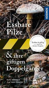 Wie erkennt man giftige pilze? Essbare Pilze Und Ihre Giftigen Doppelganger Pilze Sammeln Aber Richtig Amazon De Laux Hans E Gminder Andreas Bucher