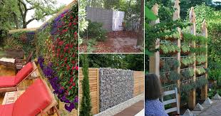 We set out fence substitutes in this article (with photos). 40 Best Privacy Fence Ideas For Backyards