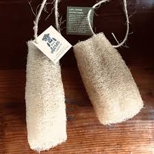 Image result for Luffa