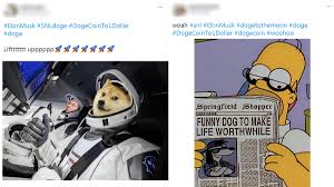 The timing puts musk, who is also known as an enthusiast of cryptocurrencies, back in the spotlight just as tesla's stock is losing steam following last year's monster rally. Dogecointo1dollar Funny Memes And Jokes Go Insane Viral As Elon Musk Is Live On Snl Netizens Share Dogecoin Hilarious Reactions Latestly