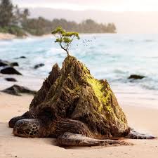 Now On View: Ted Chin