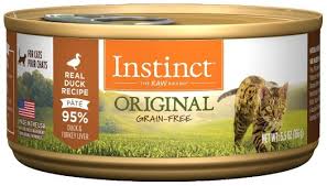 While it's not unusual for cats to throw up, if it continues or if kitty doesn't seem better within a day or so, take him to the vet. The 7 Best Cat Foods For Sensitive Stomach 2021 Reviews Ratings