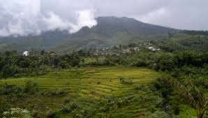 Www.mistis.site#misteri #mistis #viralcontact person : Sengklang Sangga Buana Bilik Misteri