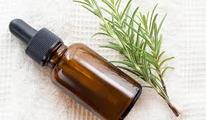 Rosemary Oil Benefits: The Secret to ...