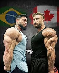 Quem vence essa grande batalha, meus...