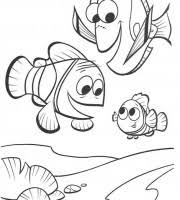 Crush finding nemo coloring pages. Top Finding Nemo Coloring Pages For Your Little Ones Coloring Pages