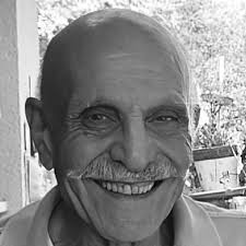 Who are the hostages freed during the Israel-Hamas conflict?