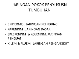 Arkeologi adalah cabang ilmu sejarah yang mempelajari kebudayaan manusia masa lalu melalui kajian sistematis atas data bendawi yang ditinggalkan. Histologi Ilmu Yang Mempelajari Jaringan Sekelompok Sel Yang Mempunyai Struktur Dan Fungsi Tertentu Ppt Download