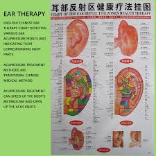 Amazon Com 600pcs Chinese Dragon Ear Massage Seeds