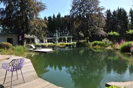 Home Mit Bildern Garten Schwimmteich Gartengestaltung