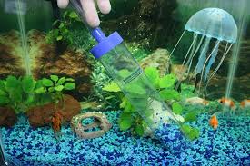 Sikantispets Do You Know How To Clean Best The Gravel In Your Fish Tank Here Are Some Tips Aquarium Accessories Fish Tank Gravel Fish Tank