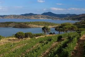 La Costa Brava Cote Vignes Cap De Creus Viajes Emporda