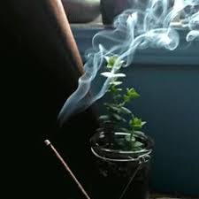 0780079106 Astrology Effective Love Sepll Caster Spiritual Healer Psychic Readings Money Spell 27780079 Love Spells Love Spell That Work Spiritual Healer