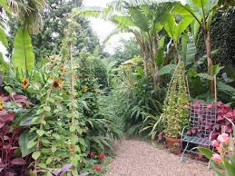 Pin On Will Giles Exotic Garden England
