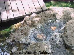 See full list on gokelah.com Sungai Klah Hot Springs Park
